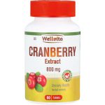 Wellvita Cranberry Extract 800mg Urinary Health Tablets - 60